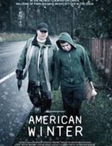 Американская зима