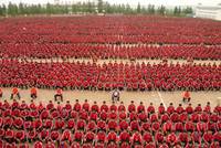 Кадр Драконовые девушки