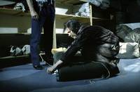 Кадр Ариэль