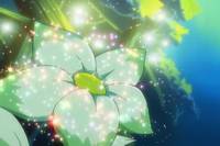 Кадр Звезда Калейдо