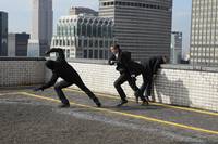 Кадр В поле зрения