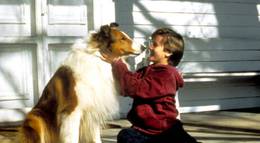 Кадр из фильма "Лэсси" - 2