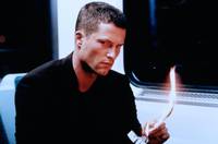 Кадр Белый медведь