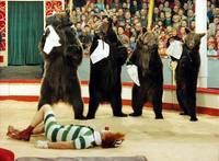 Кадр Шесть медведей и клоун Цибулка