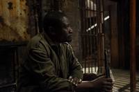 Кадр Путешествие Гектора в поисках счастья