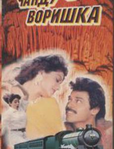 Чанду-воришка