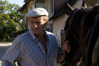 Кадр Возвращение аистов