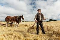 Кадр Песнь заката