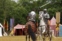 Кадр Мерлин