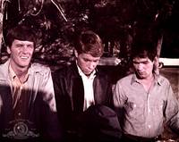 Кадр The Young Animals