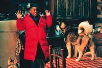 Кадр Снежные псы