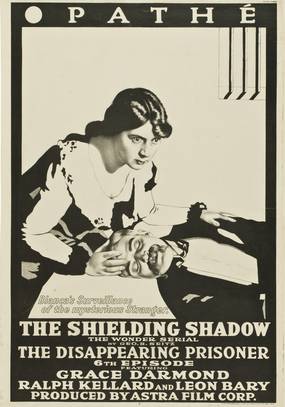 The Shielding Shadow