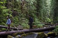 Кадр Старая радость