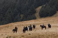 Кадр Мерлин