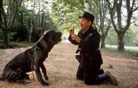 Кадр Замок моей матери