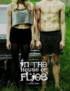 В доме мух