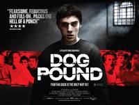 Постер Загон для собак