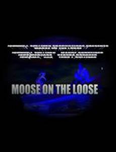 Moose on the Loose