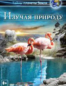 Изучая природу 3D (видео)