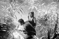 Кадр Золото Рима