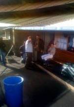 Дэн Мартино фото