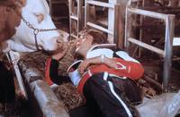 Кадр Austern mit Senf