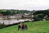 Кадр Война пуговиц