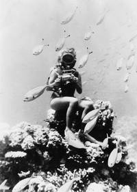 Кадр Под Красным морем