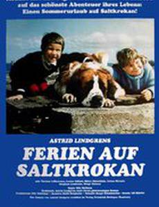 На острове Сальткрока