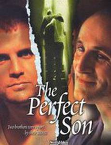 Идеальный сын