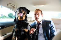 Кадр Что творят немецкие мужчины