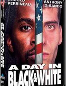 День в черном и белом