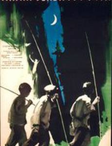 Тайна зеленого бора