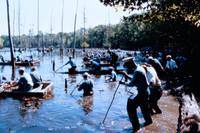 Кадр Миссисипи в огне