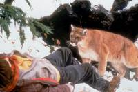 Кадр Побег из каньона дикой кошки