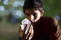 Кадр Мерлин