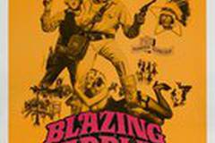 Сверкающие седла