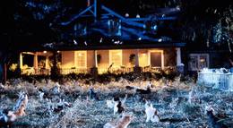 Кадр из фильма "Лунатики" - 1