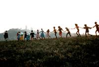 Кадр Поляна