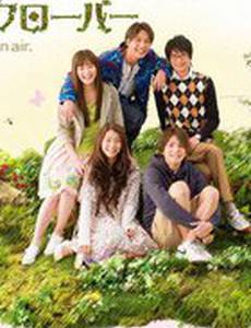 Мед и клевер