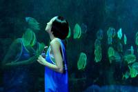 Кадр Рай океана