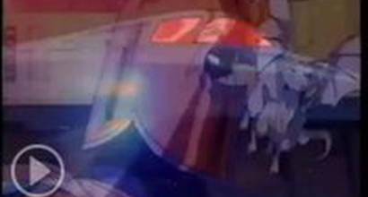 Вступительные титры 