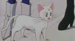 Кадр из фильма "Красавица-воин Сейлор Мун Эс" - 1