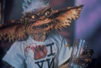 Кадр Гремлины 2: Новенькая партия