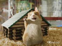 Кадр Миссия Дарвина