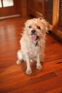 Кадр Дети шпионов 4: Армагеддон