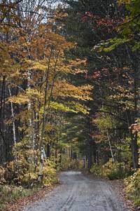 Кадр Убойный уикенд