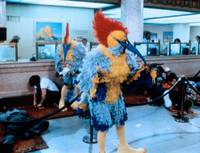 Кадр Буйнопомешанные