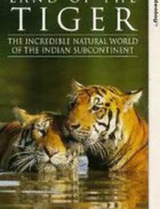 Земля тигров