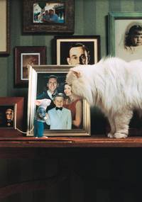 Кадр Стюарт Литтл